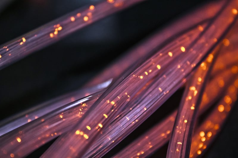 Professional Network